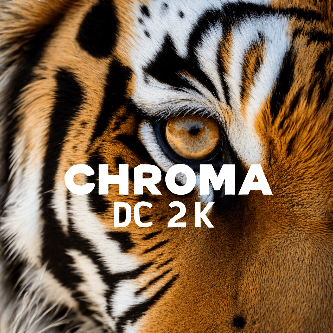Chroma-DC-2K - Image 4