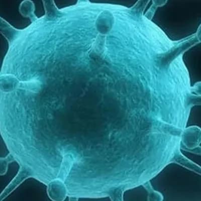 AI generated video: Human Immunodeficiency Virus (HIV) is a virus that attacks and destroys the body’s T lymphocytes. Th...
