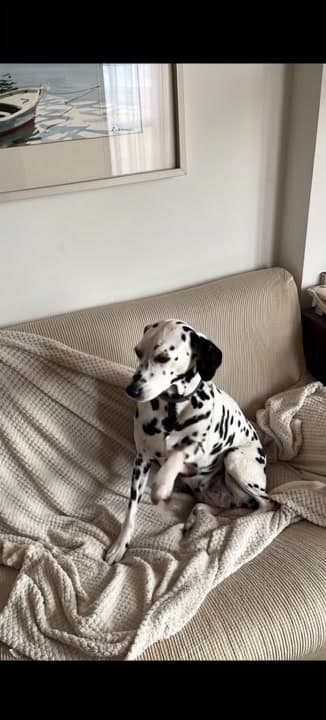 AI generated video: haz que baile