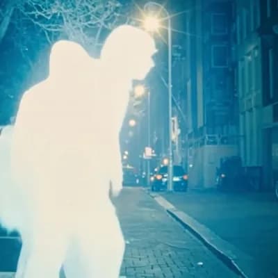 AI generated video: duplication  fast moving shades