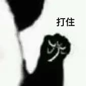 23bce66248c's avatar