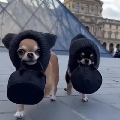 AI generated video: she crawls toward the camera