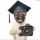 66b2e42bfad's avatar