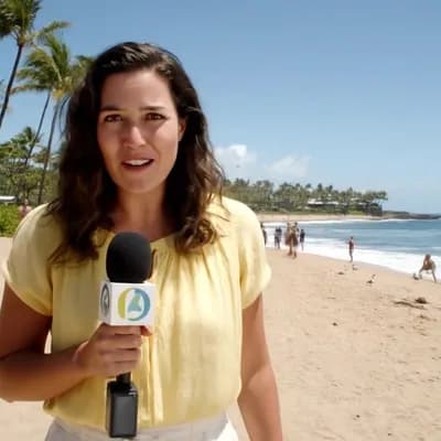 AI generated video: A field reporter stands on a sunny beach in Hawaii, holding a microphone, doing a live news segment....