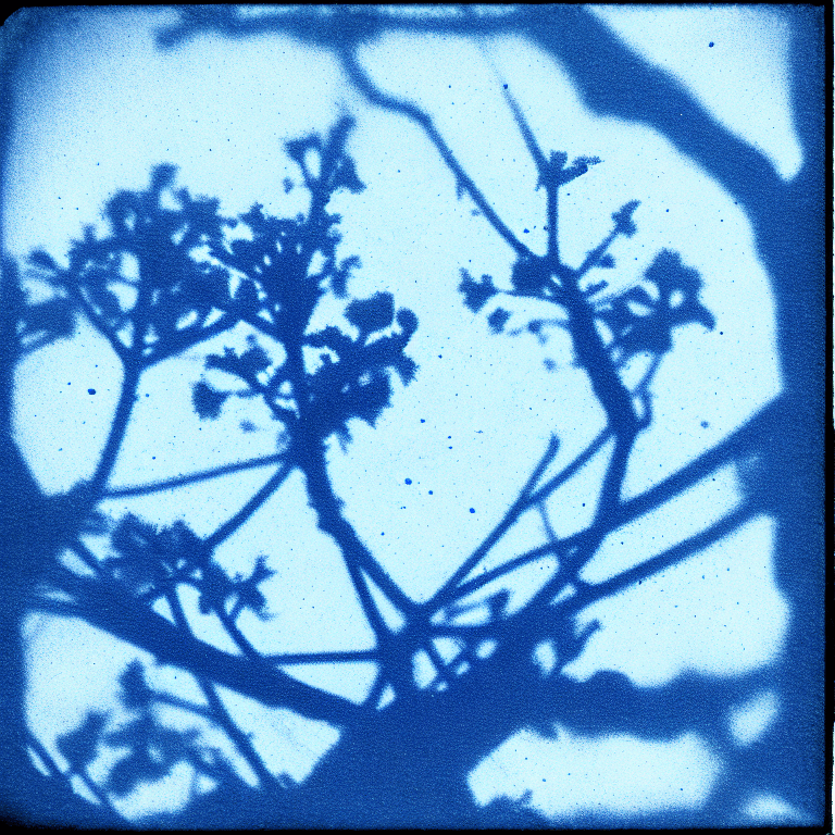 AI generated: cyanotype, uroburo

 

