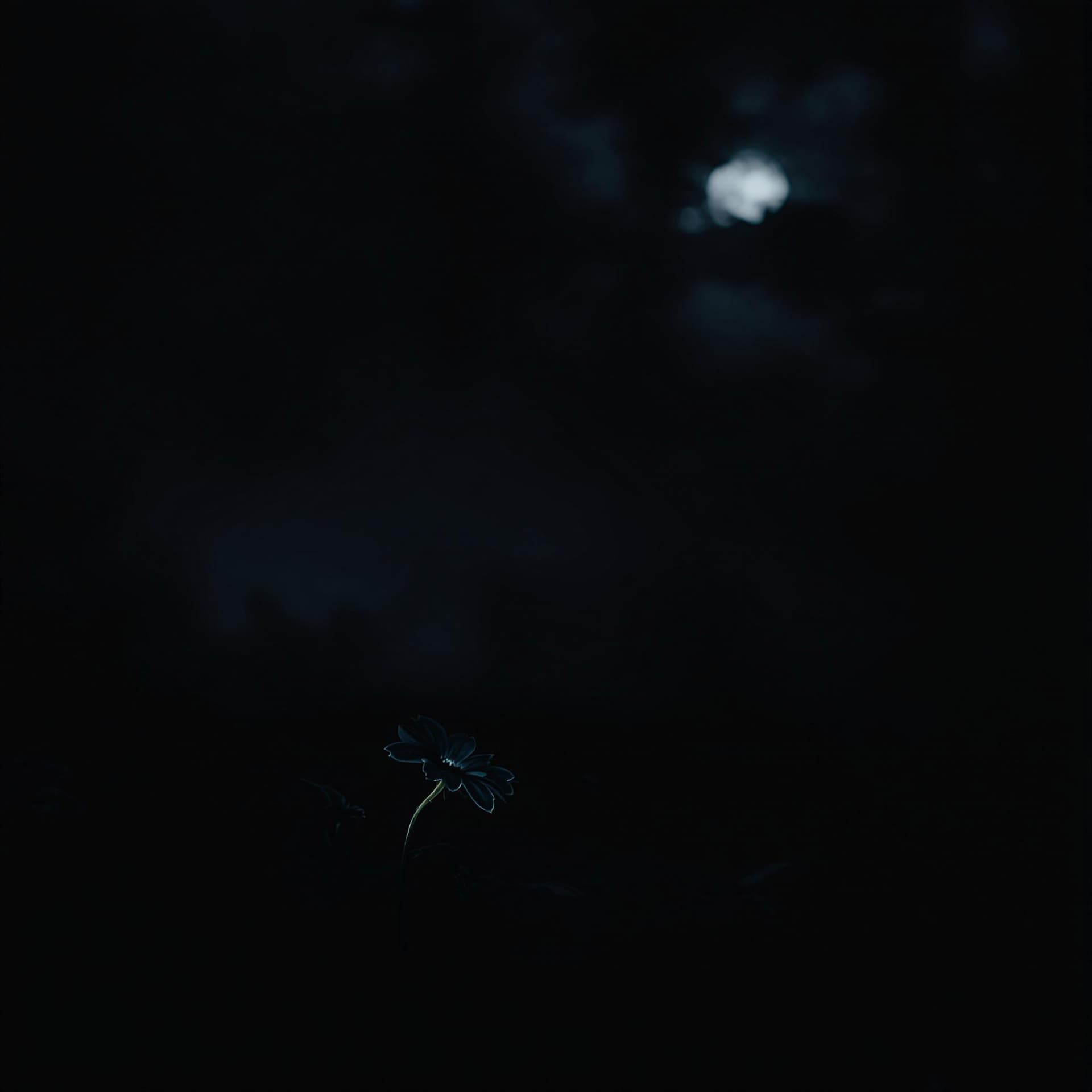 AI generated: A dark, moody shot of the flowers from Tamayubo’s garden. The camera slowly zooms in on a single flo...