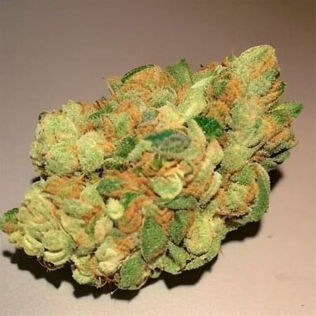 Weed Diffusion - Image 4