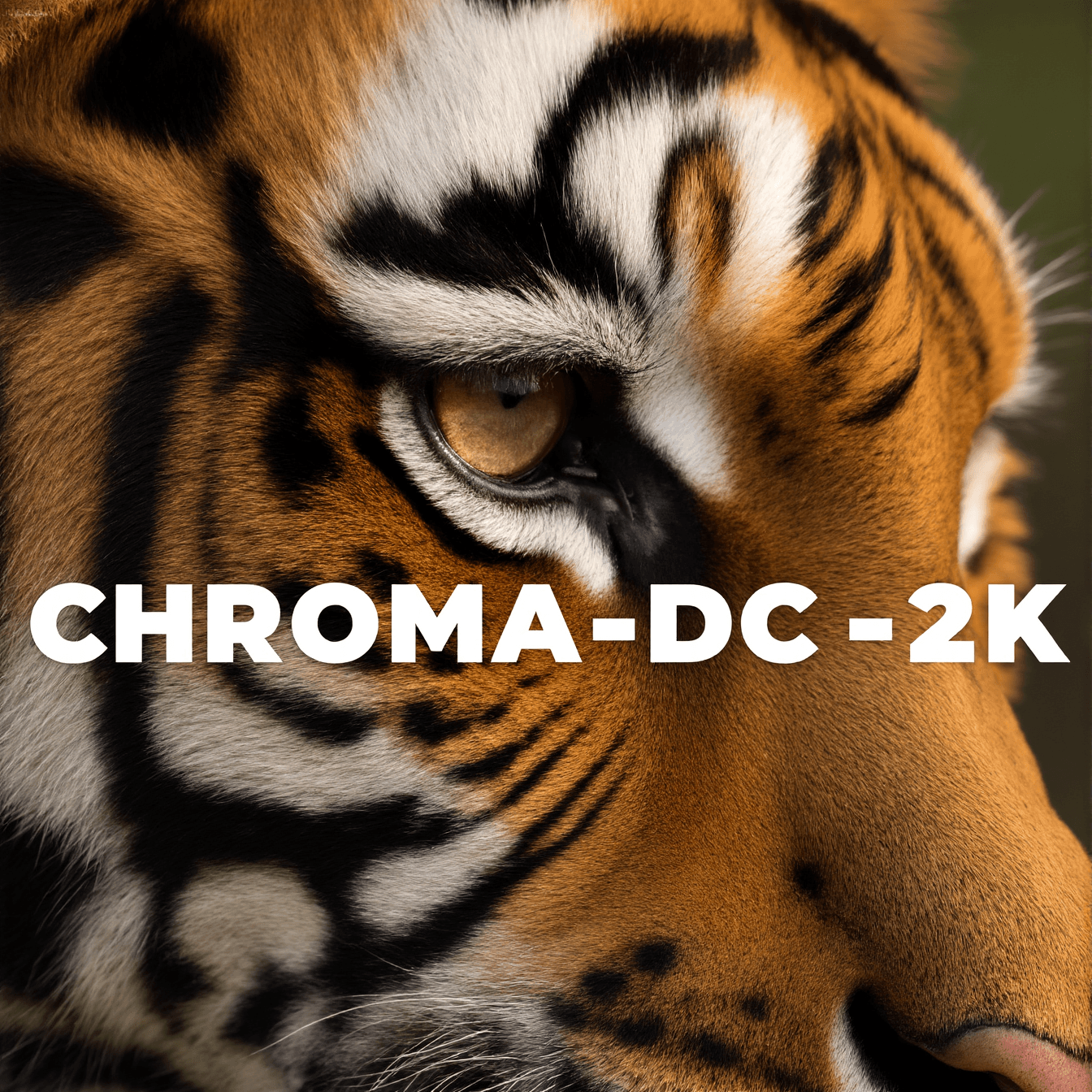 Chroma-DC-2K - Image 3