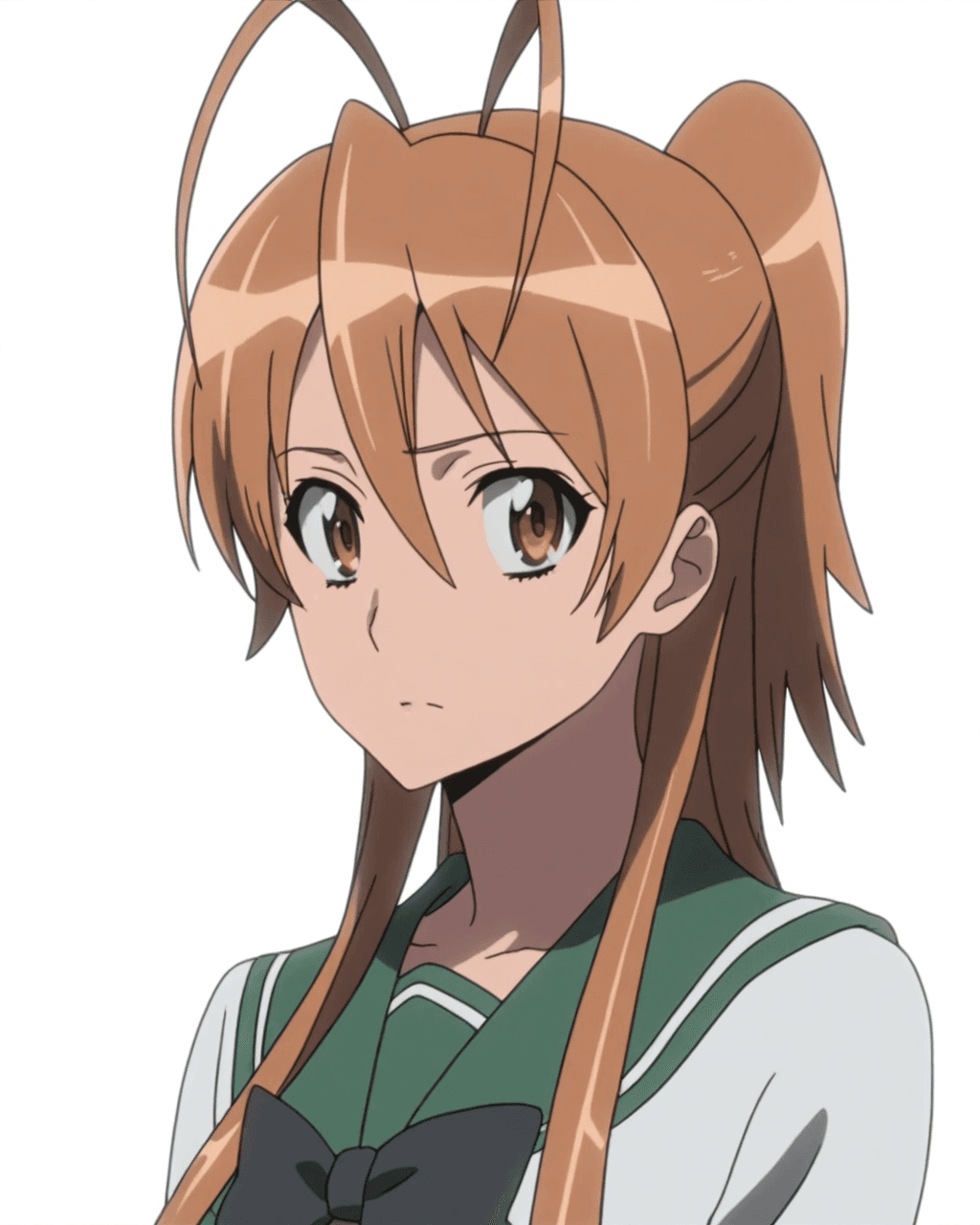 [IL] Rei Miyamoto - Highschool of the Dead