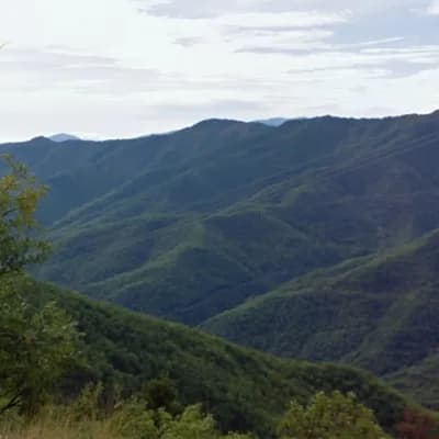AI generated video: Two golden dragons that fly near the mountains in the back, appearing from the left and going to the...