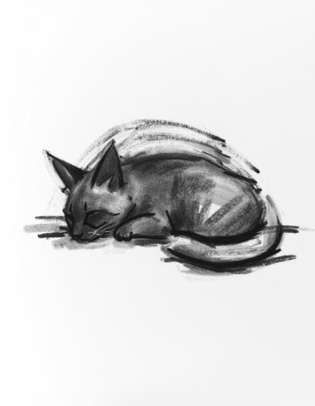 Charcoal - Image 3