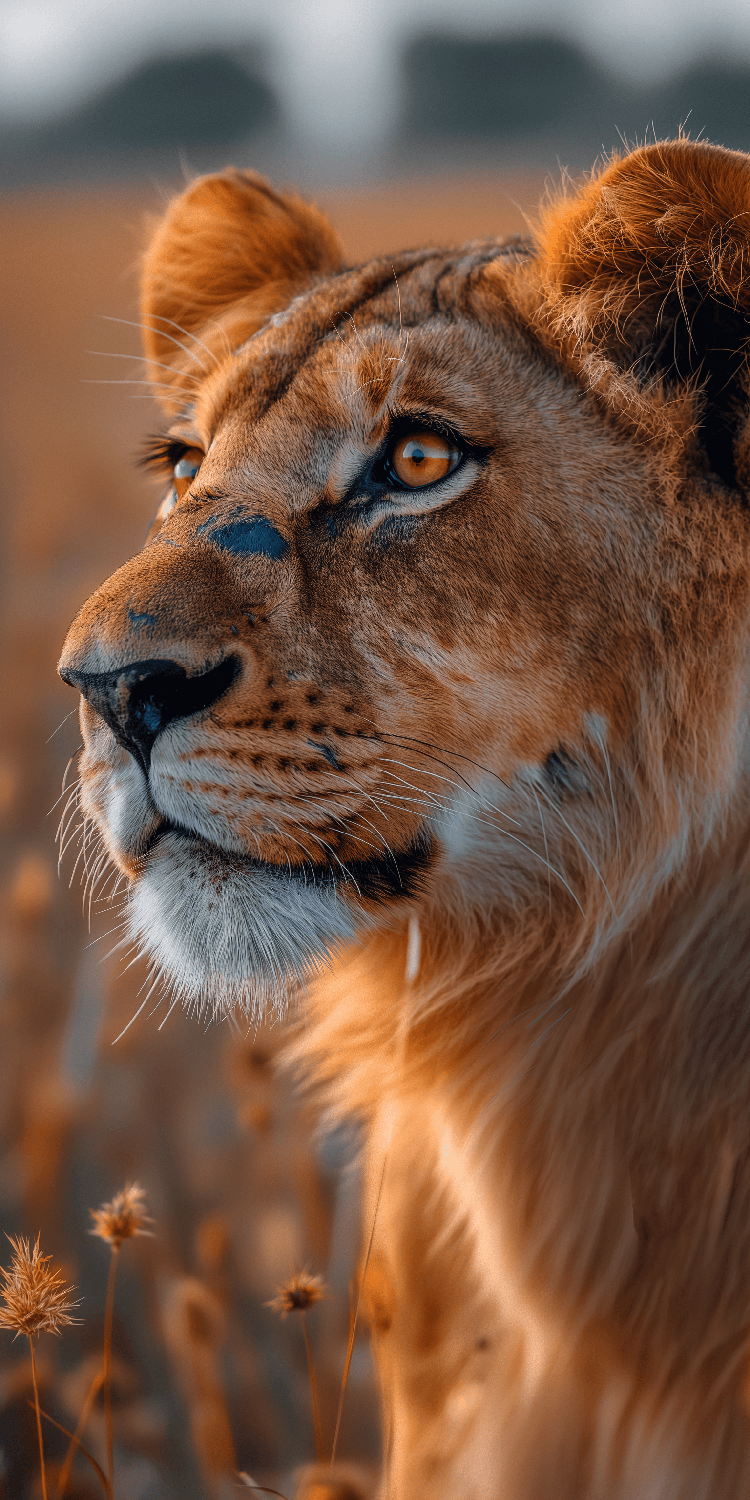 AI generated: 3d photorealistic photo, side profile of a lion on the Serengeti, extreme close-up, in the style of ...