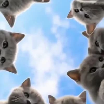 AI generated video: chibi Russian Blue cats with big round green eyes, tiny muzzles, plush short blue-gray fur, whiskers...