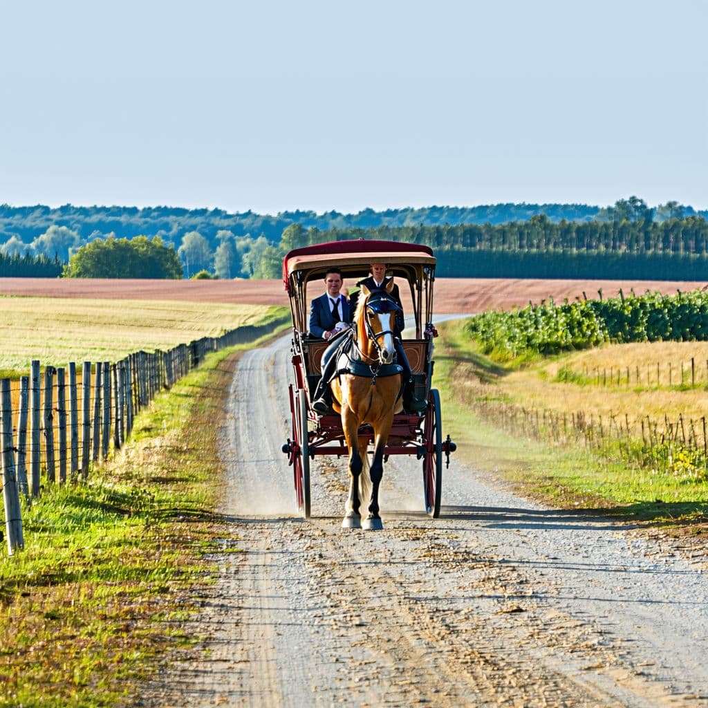 AI generated: A wooden horse carriage with 3 people onboard on a dirt road advancing in a 18th century Neatherland...