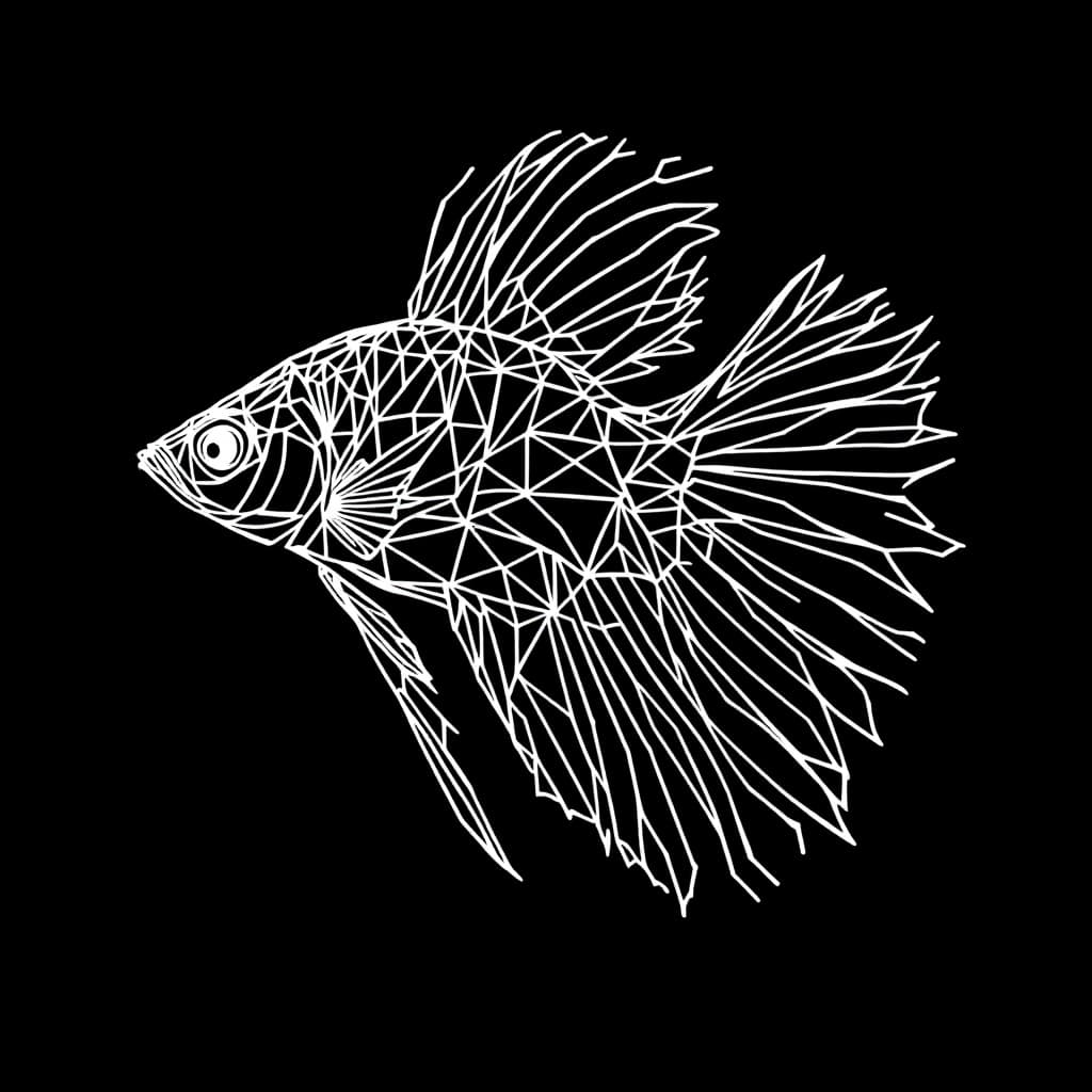 AI generated: make me a logo for a store where on a black background there will be a bettafish made of white geome...