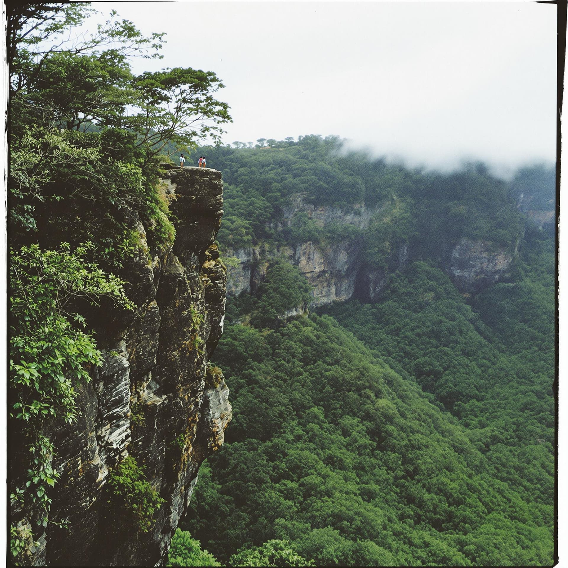 AI generated: madeira hiking, team building retreat, corporate retreat, cliff scenario, lush forest, polaroid, gra...