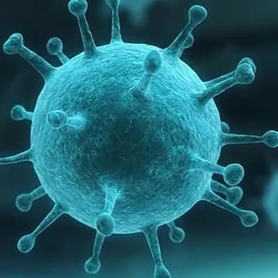 AI generated video: 1. Legame (Binding)
Il virus HIV circola nel sangue e riconosce specifici recettori sulla superficie...