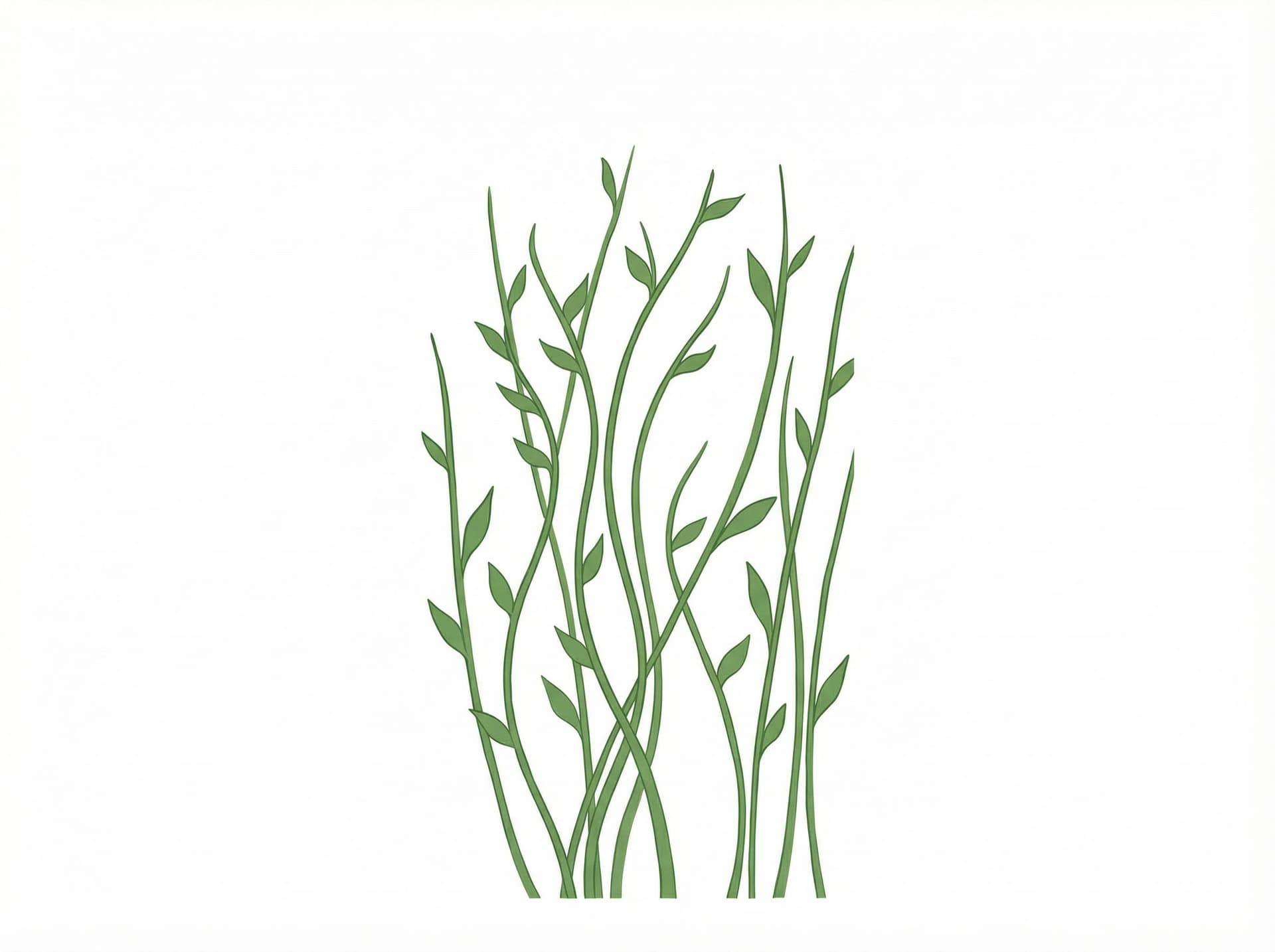 AI generated: Make it less watercolour like and more illustrative. A few less stems. I want only 6-8 windy stems w...