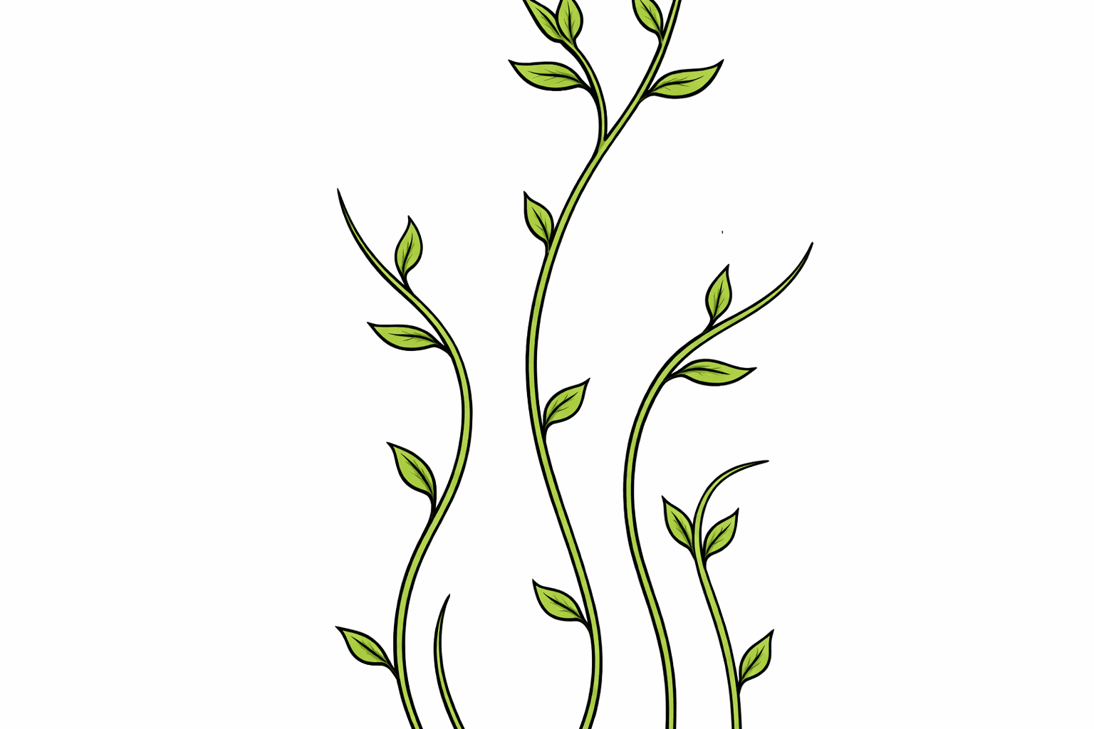AI generated: make the illustration lines stronger, whilst keeping the exact shapes and colors