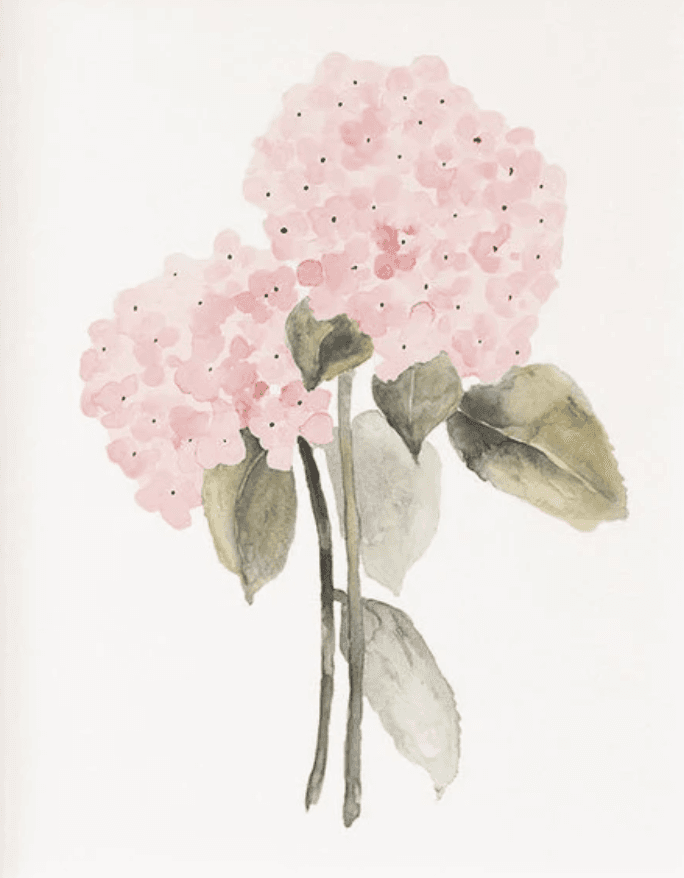 AI generated: watercolor pink hydrangea bouquet