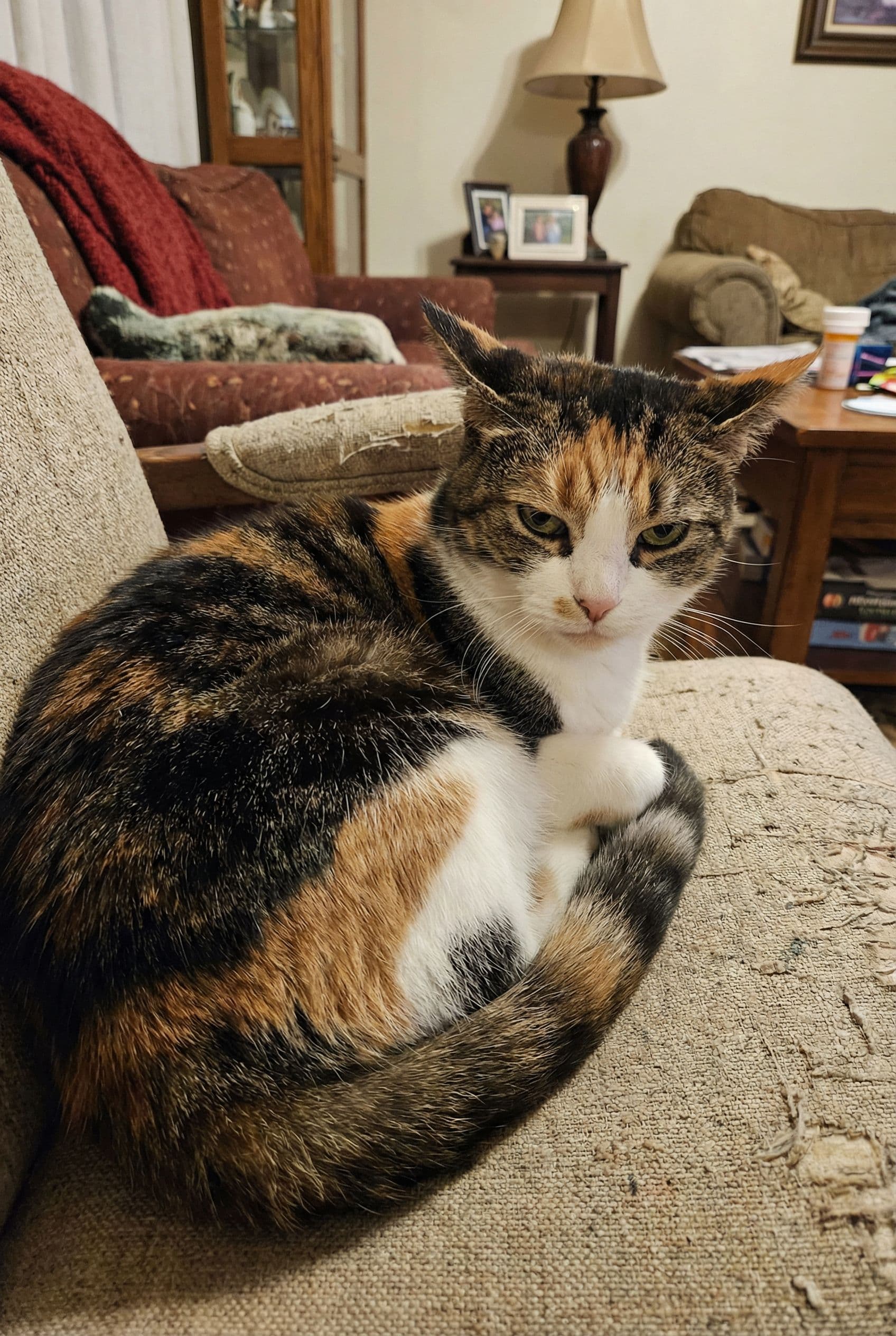 AI generated: Fucking pussy