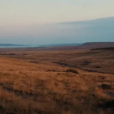 AI generated video: camera moves towards the horizon