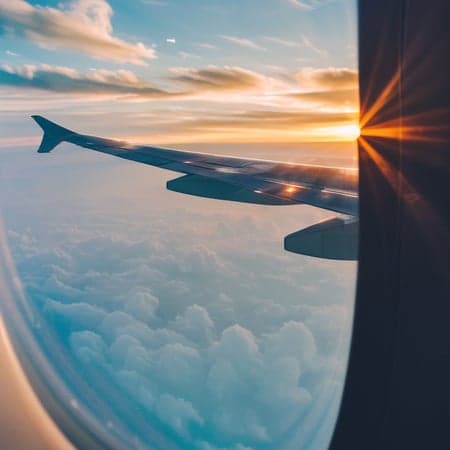 WingView - Image 3