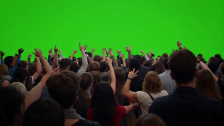 FLUX CHROMA KEY - Image 1