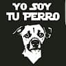 rodrigomendez's avatar
