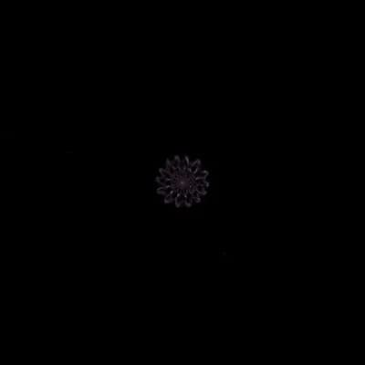 AI generated video: BURNING SHIP FRACTAL, v2. Burning Ship mathematical set. Organic flame-like tendrils. Jagged explosi...