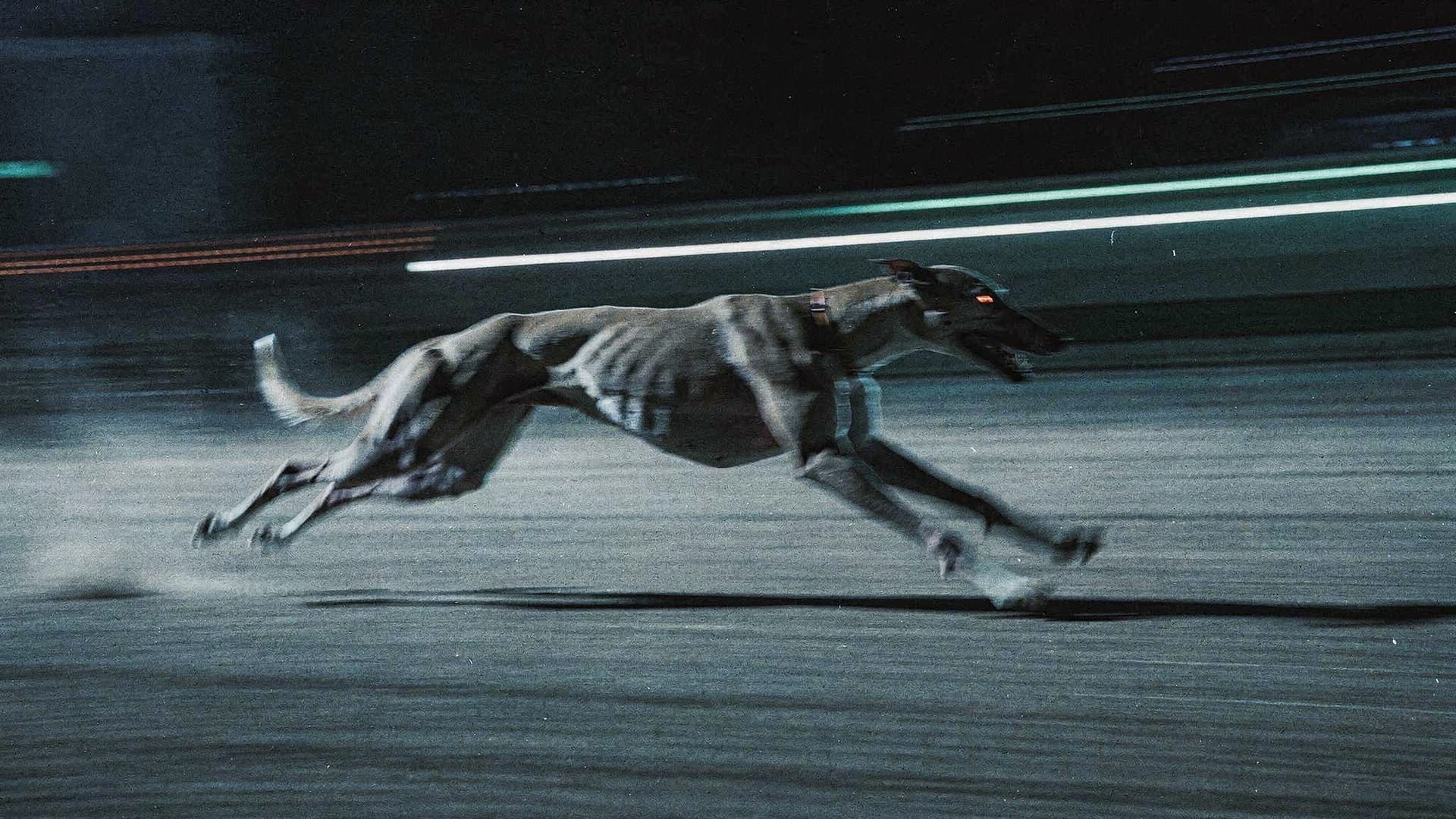 AI generated: cinematic long-exposure photograph of a racing greyhound dog sprinting at maximum speed, captured mi...