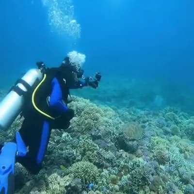 AI generated video: underwater scuba diver, sounds of the coral reef
