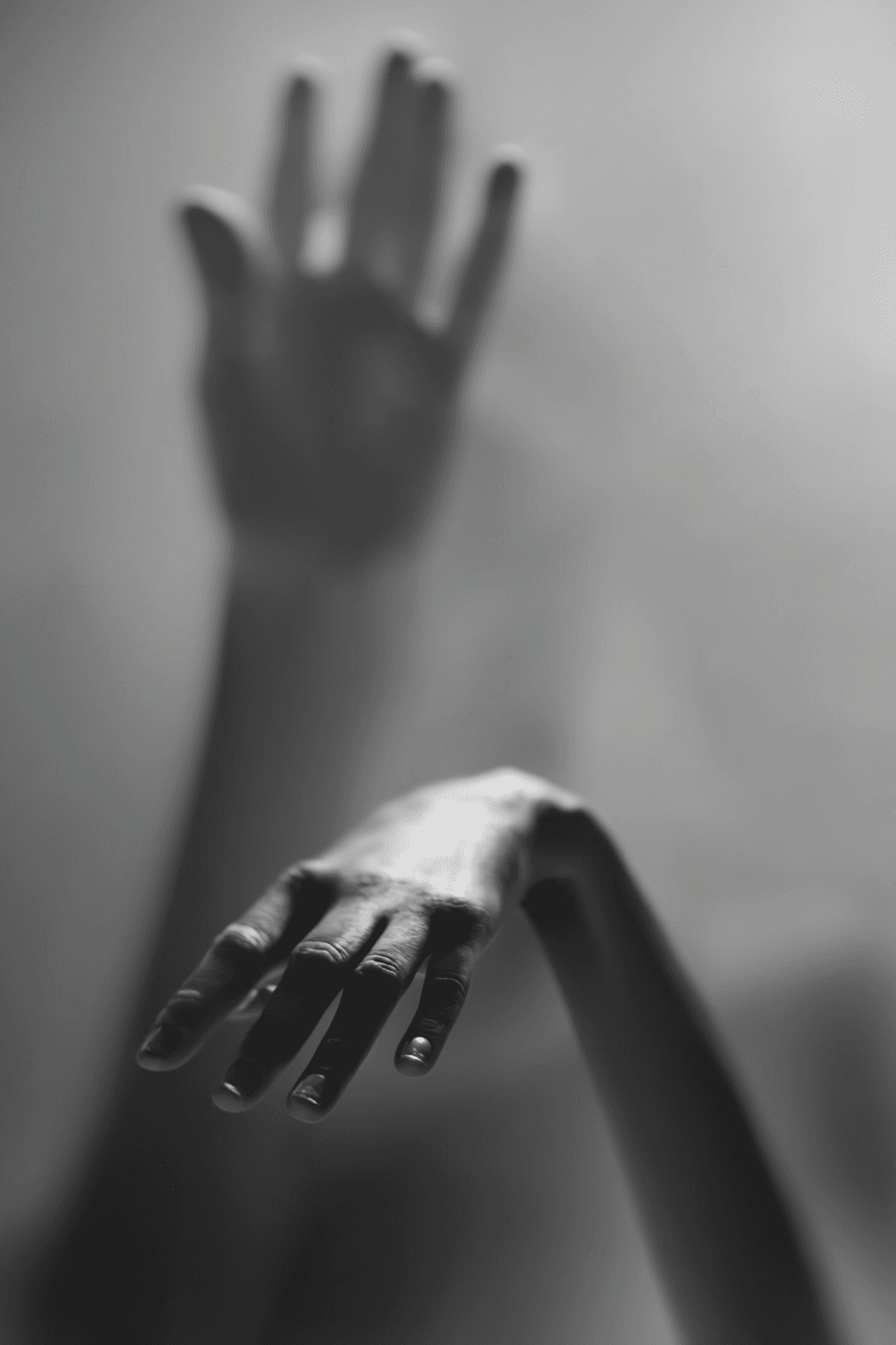 Panima - Image 2