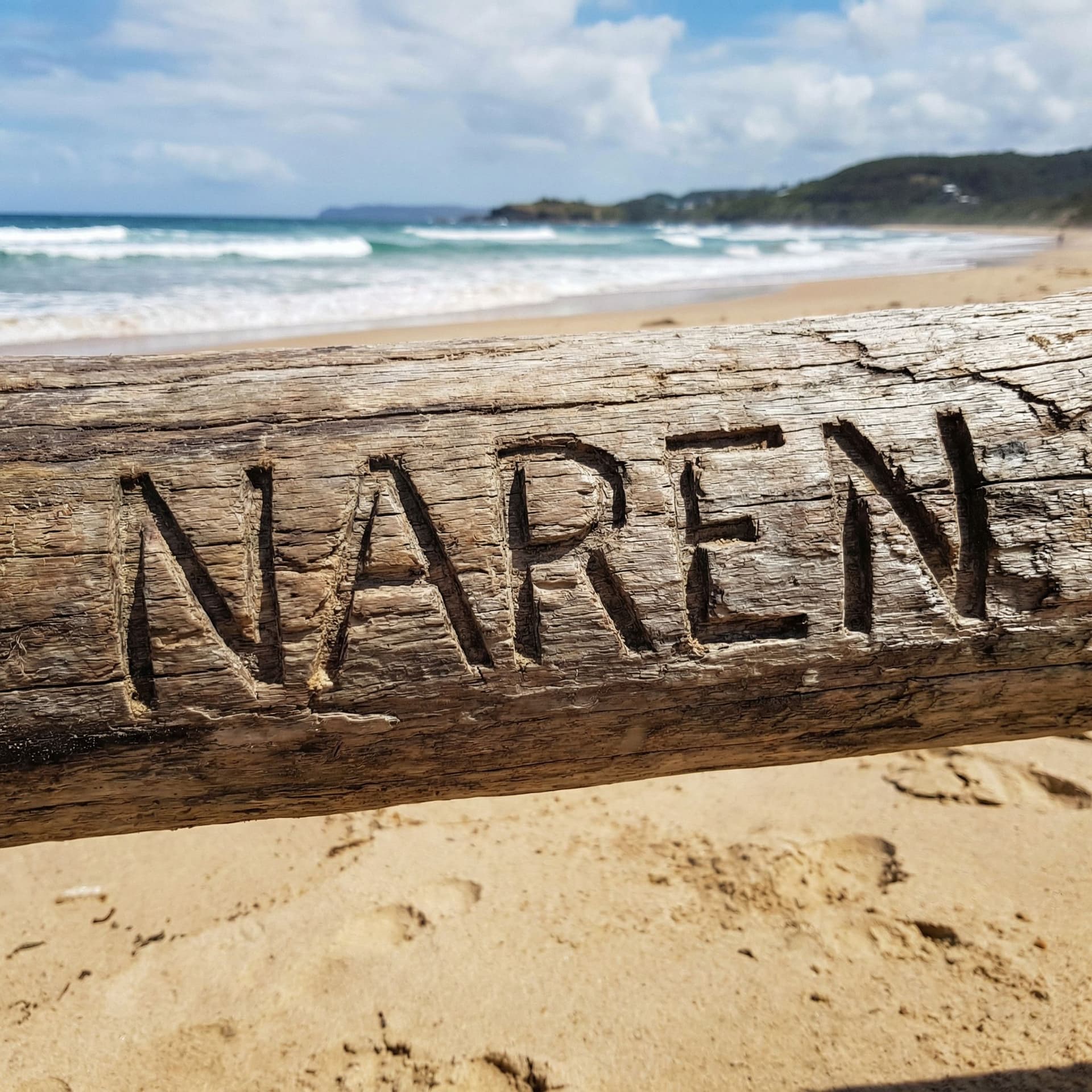 AI generated: NAREN