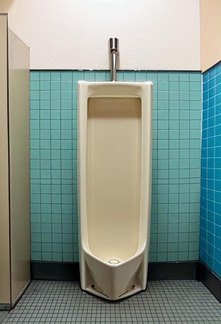 licking a toilet bowl
