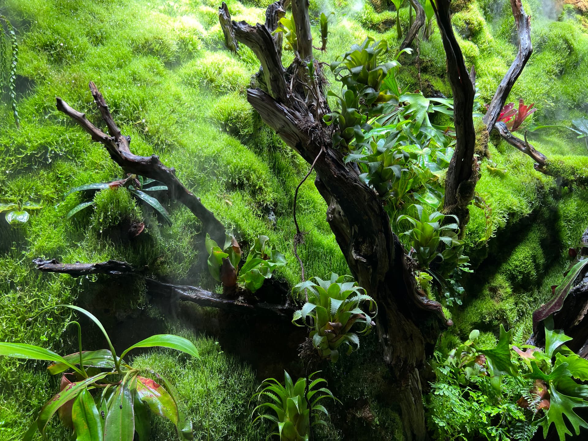 AI generated: Full color, 8k, realistic, photo, hi-res, landscape