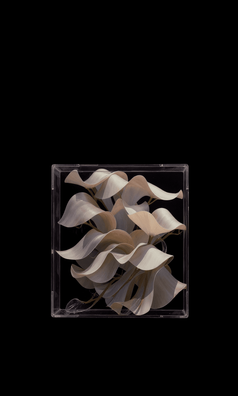AI generated: conceptual image, waves in a clear box, solid black backdrop --ar 9:16 --raw --profile f775fdj --sty...