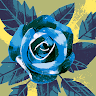 alirezadehnavi's avatar