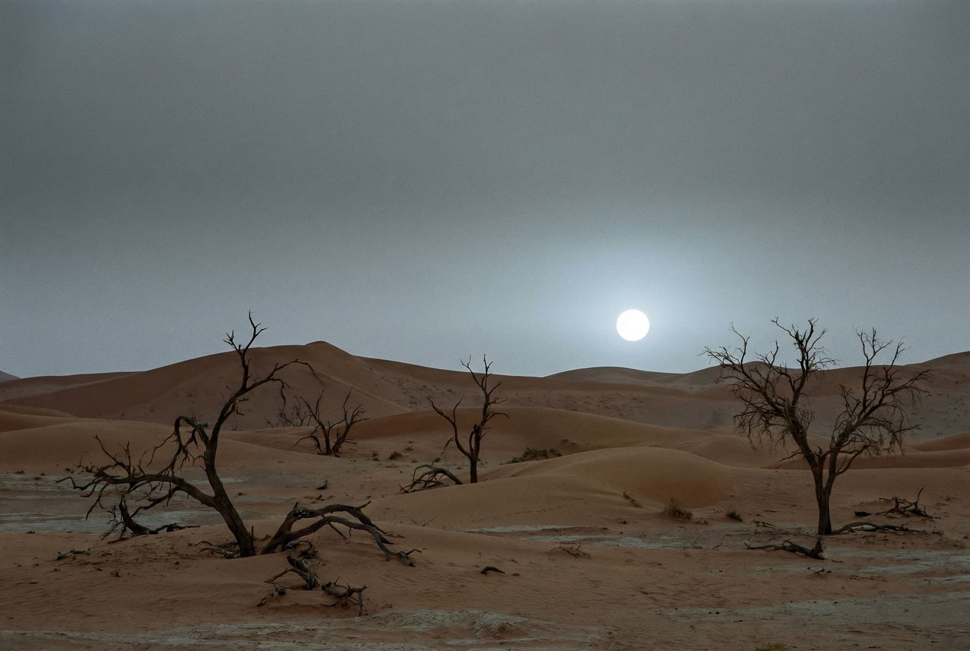AI generated: a scenic landscape with desert dunes and dead trees but the sky has a more grey color  with no cloud...