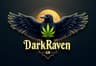 @DarkRaven420Art