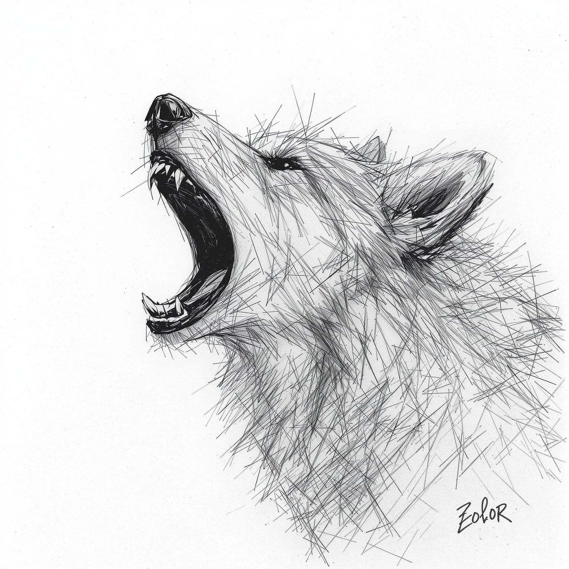 AI generated: simple pencil sketch by Odilon Redon, drawing, head only, a grey wolf howling, noticeable charcoal m...