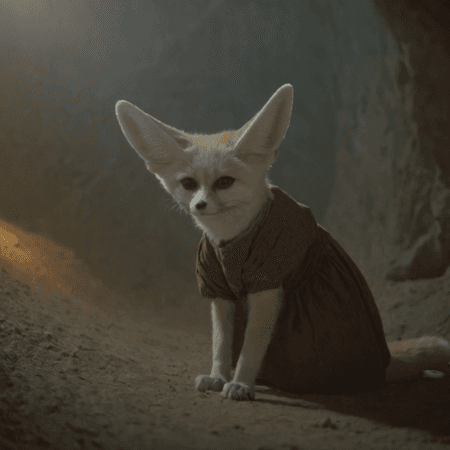 Fennecs PONY XL - Image 1