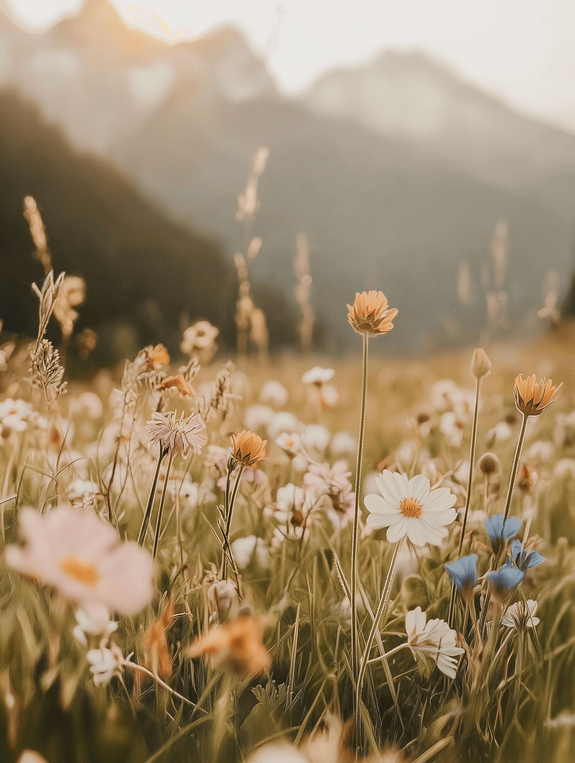 AI generated: masterpiece award-winning photograph, breathtaking Alpine meadow at dawn, pristine mountain flowers ...