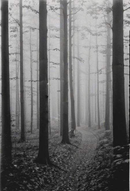 KB_Kentmere400