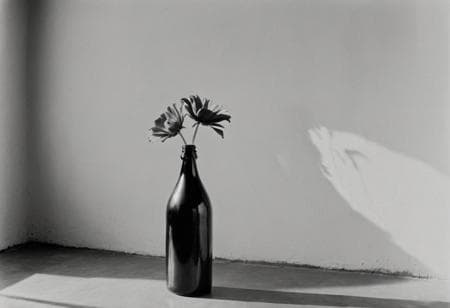 KB_ilford_xp_super - Image 5