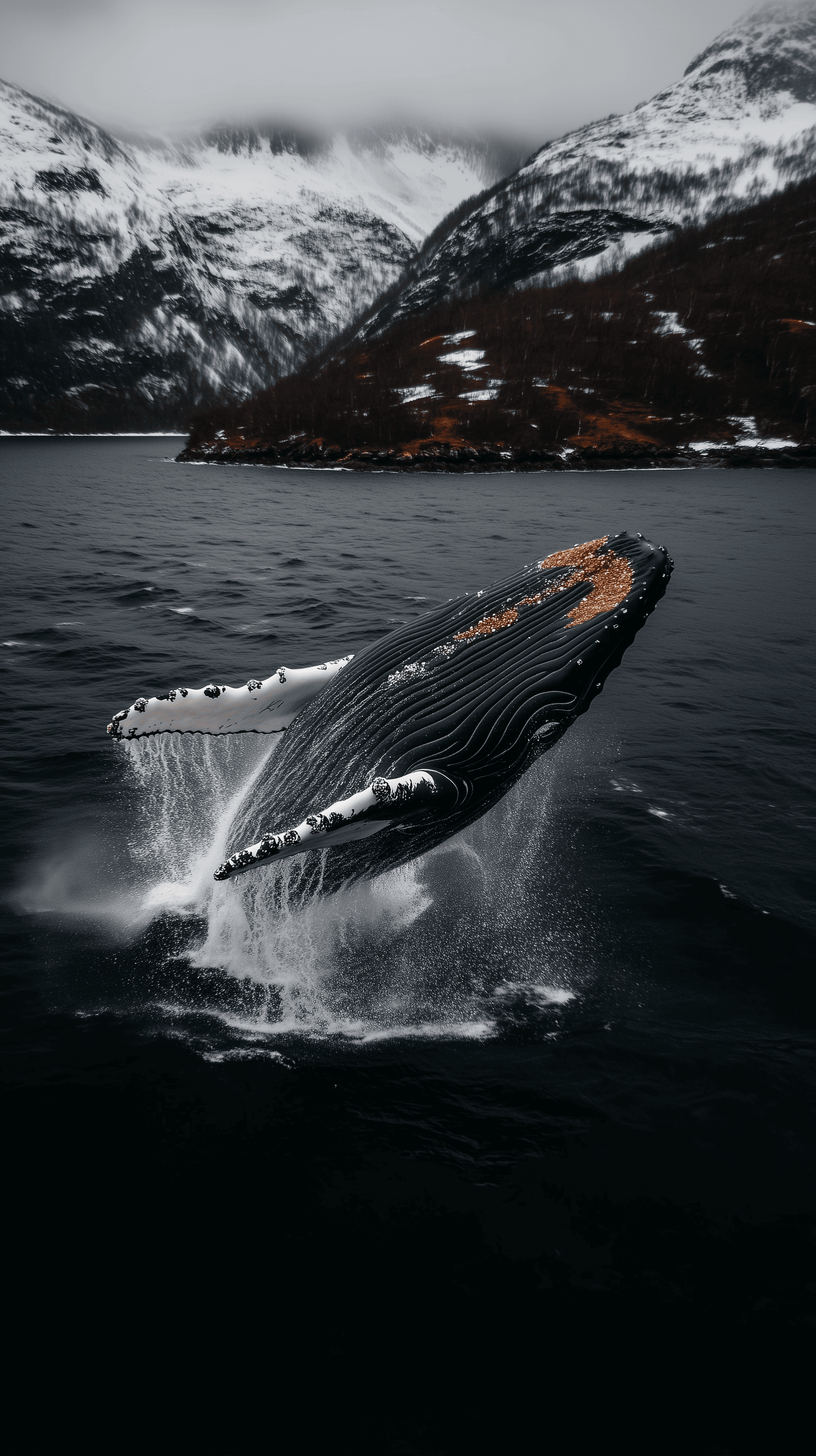 AI generated: Whale of The Atlantic --ar 9:16 --style raw --v 6.1