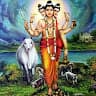@nileshshinde
