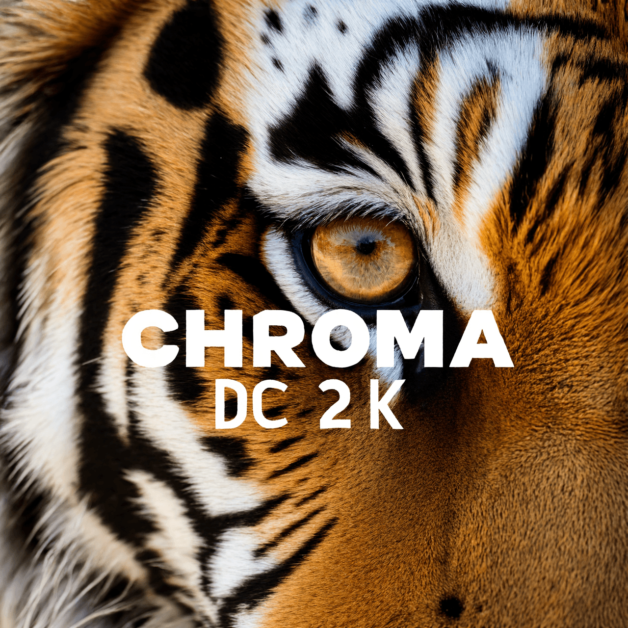 Chroma-DC-2K