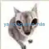 Elpapudlospapus's avatar