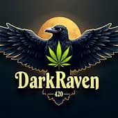 DarkRaven420Art's avatar
